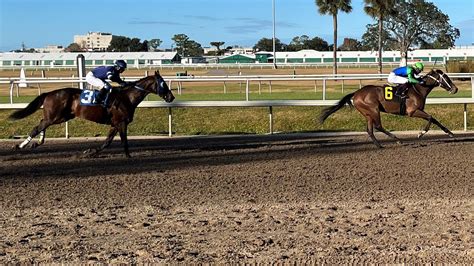 The Role Of Jockeys In Horse Racing.